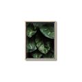 Picture of Jungle Leaves  _GroupedProduct_Rectangle_Portrait_Photography _GroupedProduct_Rectangle_Portrait_Canvas_Framed_