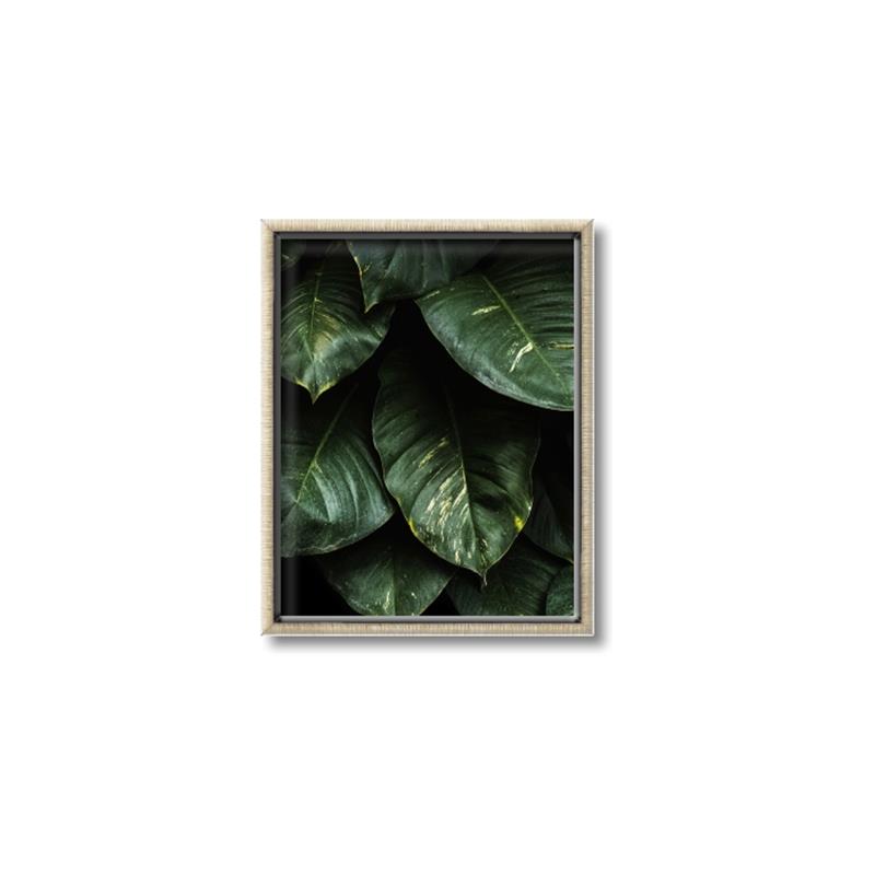 Picture of Jungle Leaves  _GroupedProduct_Rectangle_Portrait_Photography _GroupedProduct_Rectangle_Portrait_Canvas_Framed_