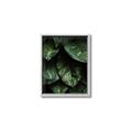 Picture of Jungle Leaves  _GroupedProduct_Rectangle_Portrait_Photography _GroupedProduct_Rectangle_Portrait_Canvas_Framed_