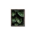 Picture of Jungle Leaves  _GroupedProduct_Rectangle_Portrait_Photography _GroupedProduct_Rectangle_Portrait_Canvas_Framed_