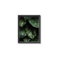 Picture of Jungle Leaves  _GroupedProduct_Rectangle_Portrait_Photography _GroupedProduct_Rectangle_Portrait_Canvas_Framed_