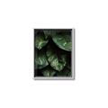 Picture of Jungle Leaves  _GroupedProduct_Rectangle_Portrait_Photography _GroupedProduct_Rectangle_Portrait_Canvas_Framed_