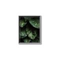 Picture of Jungle Leaves  _GroupedProduct_Rectangle_Portrait_Photography _GroupedProduct_Rectangle_Portrait_Canvas_Framed_