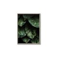 Picture of Jungle Leaves  _GroupedProduct_Rectangle_Portrait_Photography _GroupedProduct_Rectangle_Portrait_Canvas_Framed_