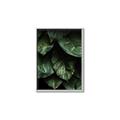 Picture of Jungle Leaves  _GroupedProduct_Rectangle_Portrait_Photography _GroupedProduct_Rectangle_Portrait_Canvas_Framed_