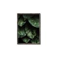 Picture of Jungle Leaves  _GroupedProduct_Rectangle_Portrait_Photography _GroupedProduct_Rectangle_Portrait_Canvas_Framed_
