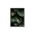 Picture of Jungle Leaves  _GroupedProduct_Rectangle_Portrait_Photography _GroupedProduct_Rectangle_Portrait_Canvas_Framed_