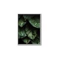 Picture of Jungle Leaves  _GroupedProduct_Rectangle_Portrait_Photography _GroupedProduct_Rectangle_Portrait_Canvas_Framed_