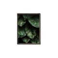 Picture of Jungle Leaves  _GroupedProduct_Rectangle_Portrait_Photography _GroupedProduct_Rectangle_Portrait_Canvas_Framed_