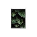 Picture of Jungle Leaves  _GroupedProduct_Rectangle_Portrait_Photography _GroupedProduct_Rectangle_Portrait_Canvas_Framed_