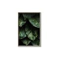 Picture of Jungle Leaves  _GroupedProduct_Rectangle_Portrait_Photography _GroupedProduct_Rectangle_Portrait_Canvas_Framed_