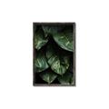 Picture of Jungle Leaves  _GroupedProduct_Rectangle_Portrait_Photography _GroupedProduct_Rectangle_Portrait_Canvas_Framed_