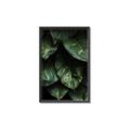Picture of Jungle Leaves  _GroupedProduct_Rectangle_Portrait_Photography _GroupedProduct_Rectangle_Portrait_Canvas_Framed_