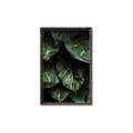 Picture of Jungle Leaves  _GroupedProduct_Rectangle_Portrait_Photography _GroupedProduct_Rectangle_Portrait_Canvas_Framed_