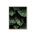 Picture of Jungle Leaves  _GroupedProduct_Rectangle_Portrait_Photography _GroupedProduct_Rectangle_Portrait_Canvas_Framed_