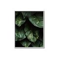 Picture of Jungle Leaves  _GroupedProduct_Rectangle_Portrait_Photography _GroupedProduct_Rectangle_Portrait_Canvas_Framed_