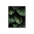 Picture of Jungle Leaves  _GroupedProduct_Rectangle_Portrait_Photography _GroupedProduct_Rectangle_Portrait_Canvas_Framed_