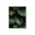 Picture of Jungle Leaves  _GroupedProduct_Rectangle_Portrait_Photography _GroupedProduct_Rectangle_Portrait_Canvas_Framed_