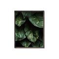 Picture of Jungle Leaves  _GroupedProduct_Rectangle_Portrait_Photography _GroupedProduct_Rectangle_Portrait_Canvas_Framed_