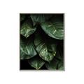 Picture of Jungle Leaves  _GroupedProduct_Rectangle_Portrait_Photography _GroupedProduct_Rectangle_Portrait_Canvas_Framed_