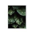 Picture of Jungle Leaves  _GroupedProduct_Rectangle_Portrait_Photography _GroupedProduct_Rectangle_Portrait_Canvas_Framed_