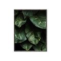 Picture of Jungle Leaves  _GroupedProduct_Rectangle_Portrait_Photography _GroupedProduct_Rectangle_Portrait_Canvas_Framed_