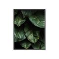Picture of Jungle Leaves  _GroupedProduct_Rectangle_Portrait_Photography _GroupedProduct_Rectangle_Portrait_Canvas_Framed_