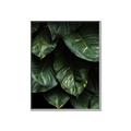 Picture of Jungle Leaves  _GroupedProduct_Rectangle_Portrait_Photography _GroupedProduct_Rectangle_Portrait_Canvas_Framed_