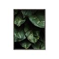 Picture of Jungle Leaves  _GroupedProduct_Rectangle_Portrait_Photography _GroupedProduct_Rectangle_Portrait_Canvas_Framed_