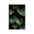 Picture of Jungle Leaves  _GroupedProduct_Rectangle_Portrait_Photography _GroupedProduct_Rectangle_Portrait_Canvas_Framed_