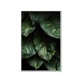 Picture of Jungle Leaves  _GroupedProduct_Rectangle_Portrait_Photography _GroupedProduct_Rectangle_Portrait_Canvas_Framed_