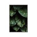 Picture of Jungle Leaves  _GroupedProduct_Rectangle_Portrait_Photography _GroupedProduct_Rectangle_Portrait_Canvas_Framed_