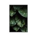 Picture of Jungle Leaves  _GroupedProduct_Rectangle_Portrait_Photography _GroupedProduct_Rectangle_Portrait_Canvas_Framed_