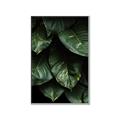 Picture of Jungle Leaves  _GroupedProduct_Rectangle_Portrait_Photography _GroupedProduct_Rectangle_Portrait_Canvas_Framed_