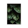 Picture of Jungle Leaves  _GroupedProduct_Rectangle_Portrait_Photography _GroupedProduct_Rectangle_Portrait_Canvas_Framed_