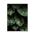 Picture of Jungle Leaves  _GroupedProduct_Rectangle_Portrait_Photography _GroupedProduct_Rectangle_Portrait_Canvas_Framed_