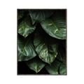 Picture of Jungle Leaves  _GroupedProduct_Rectangle_Portrait_Photography _GroupedProduct_Rectangle_Portrait_Canvas_Framed_