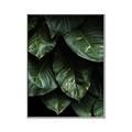 Picture of Jungle Leaves  _GroupedProduct_Rectangle_Portrait_Photography _GroupedProduct_Rectangle_Portrait_Canvas_Framed_