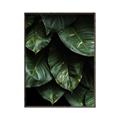Picture of Jungle Leaves  _GroupedProduct_Rectangle_Portrait_Photography _GroupedProduct_Rectangle_Portrait_Canvas_Framed_