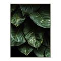 Picture of Jungle Leaves  _GroupedProduct_Rectangle_Portrait_Photography _GroupedProduct_Rectangle_Portrait_Canvas_Framed_
