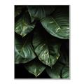 Picture of Jungle Leaves  _GroupedProduct_Rectangle_Portrait_Photography _GroupedProduct_Rectangle_Portrait_Canvas_Framed_