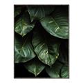 Picture of Jungle Leaves  _GroupedProduct_Rectangle_Portrait_Photography _GroupedProduct_Rectangle_Portrait_Canvas_Framed_