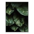 Picture of Jungle Leaves  _GroupedProduct_Rectangle_Portrait_Photography _GroupedProduct_Rectangle_Portrait_Canvas_Framed_