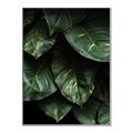 Picture of Jungle Leaves  _GroupedProduct_Rectangle_Portrait_Photography _GroupedProduct_Rectangle_Portrait_Canvas_Framed_