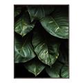 Picture of Jungle Leaves  _GroupedProduct_Rectangle_Portrait_Photography _GroupedProduct_Rectangle_Portrait_Canvas_Framed_