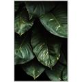 Picture of Jungle Leaves  _GroupedProduct_Rectangle_Portrait_Photography _GroupedProduct_Rectangle_Portrait_Canvas_Framed_
