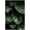 Picture of Jungle Leaves  _GroupedProduct_Rectangle_Portrait_Photography _GroupedProduct_Rectangle_Portrait_Canvas_Framed_