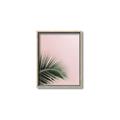 Picture of Leaves on Pink _GroupedProduct_Rectangle_Portrait_Photography _GroupedProduct_Rectangle_Portrait_Canvas_Framed_