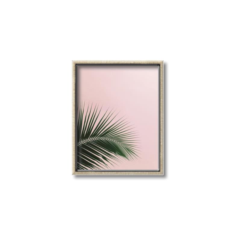 Picture of Leaves on Pink _GroupedProduct_Rectangle_Portrait_Photography _GroupedProduct_Rectangle_Portrait_Canvas_Framed_