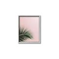 Picture of Leaves on Pink _GroupedProduct_Rectangle_Portrait_Photography _GroupedProduct_Rectangle_Portrait_Canvas_Framed_